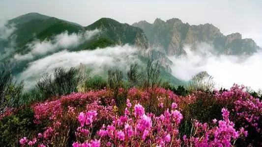 邢台县