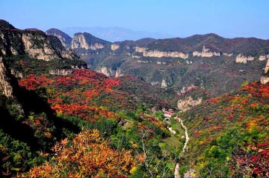 馆陶县