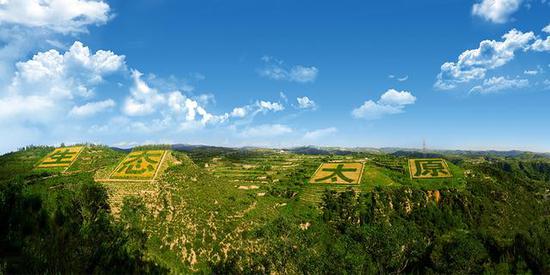 2019年太原市全民义务植树暨创森重大活动安