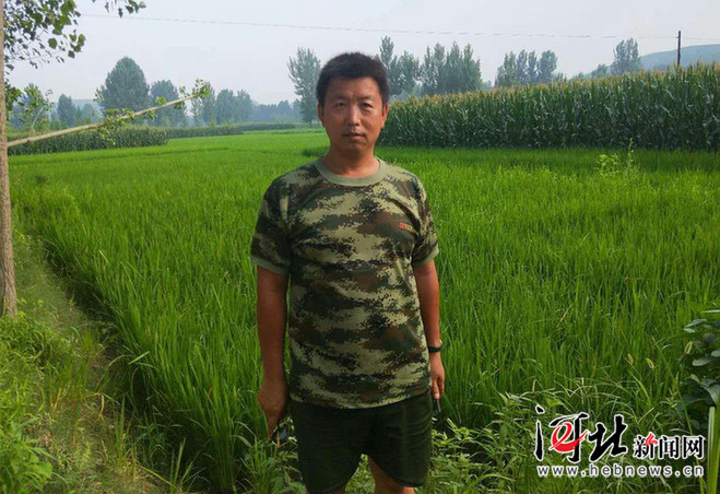 顺平县有多少人口