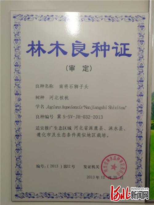  河北省林木品种审定委员会为涿鹿县南将石核桃树发放的林木良种证书。河北日报记者高振发摄
