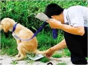 同时