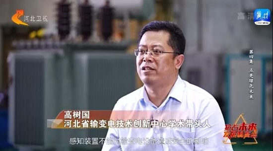 【深入贯彻落实省委十届二次全会精神】抢占未来发展制高点④:点亮绿色未来