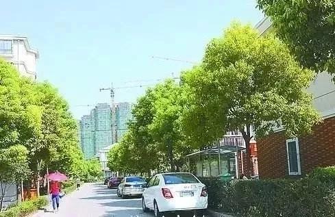 建立省、?#23567;?#21439;(?#23567;?#21306;)三级工作体系