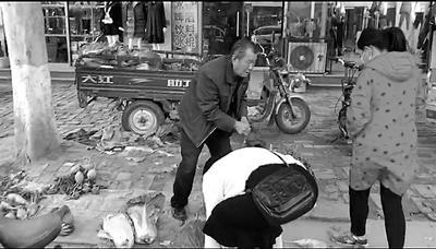 肃宁县城人口_肃宁县城最新规划图(3)