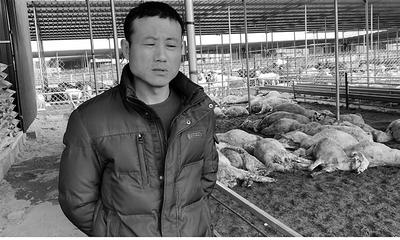 张震虎愁容满面。