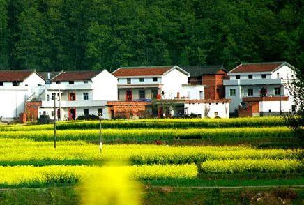 探索农村宅基地“三权分置”制度