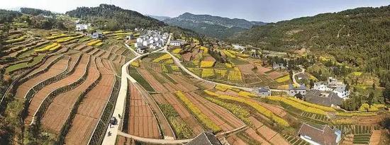 土地复垦重点区域共涉及46个县(市、区)