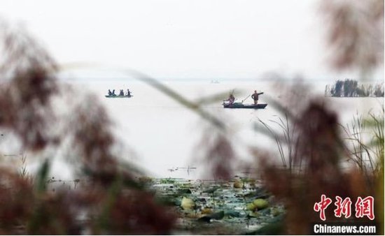 “京津冀最美湿地”河北衡水湖金秋开渔