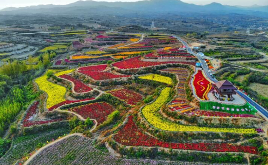 疫去春来，山河无恙。柳色黄金嫩，梨花白雪香，此刻燕赵大地繁花四海，无论长城内外，还是太行之巅；无论蓝色渤海湾，还是冀中南大平原……总有一个花开之地，能让你与春天撞个满怀。仲春时节，河北省农业农村厅联合各市农业农村局推荐了48条“春观花”系列休闲农业与乡村旅游线路，邀您探寻美丽乡村，赏花采摘，乐享燕赵春意。