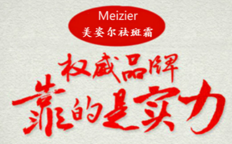 美姿尔祛斑霜获2018十大影响力祛斑品牌领导