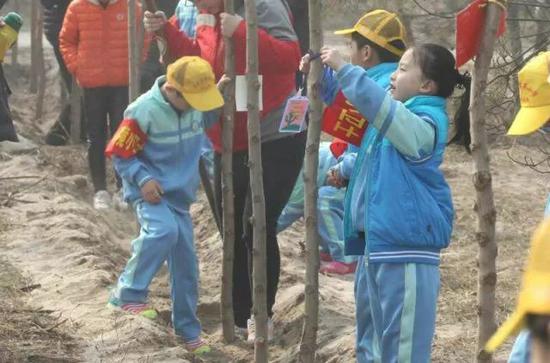 认真植树的小学生