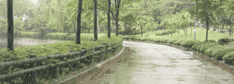 承德、张家口雨较大