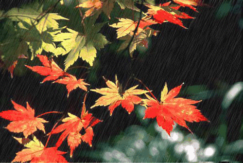 石家庄今起三天雨雨雨!