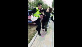 女子突然上前辱骂并殴打交警,其母也已毫无“病样”。