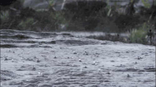 今日三次发布暴雨蓝色预警