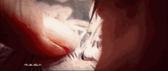 (2014年首部描写蔚县剪纸电影《窗花》上映)