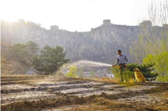 涞源多少人口_涞源一中图片(3)