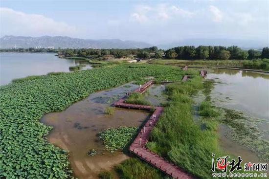 图为张家口市怀来官厅水库湿地公园景色。 通讯员孙慧军摄