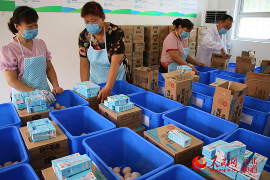 图为9月5日,河北省邯郸市广平县十里铺中心小学老师在给学校每个班级分发牛奶、鸡蛋。