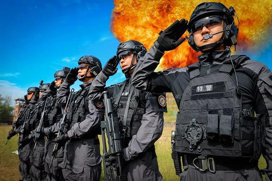 河北省公安机关国庆70周年安保誓师大会暨特巡警实战大练兵启动仪式在石家庄举行。