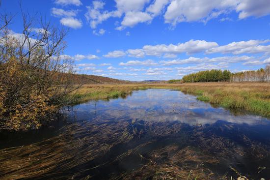 内蒙古毕拉河国际重要湿地（国家林业和草原局供图）
