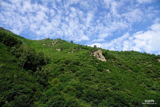 崇礼无山不绿，碧蓝的天空，清新的空气，繁盛的草木，让你可以大口地深呼吸。记者 郑世繁摄