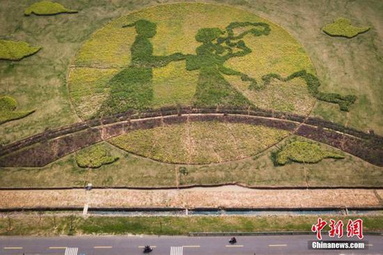 资料图:南京江宁横溪街道田野上的植被经过当地村民的精心制作,用灌木、油菜、小麦组成了该幅“董永与七仙女鹊桥相会”图。 中新社记者 泱波 摄