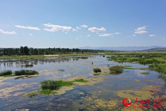 汦河生态补水资料照片。 河北省水利厅供图