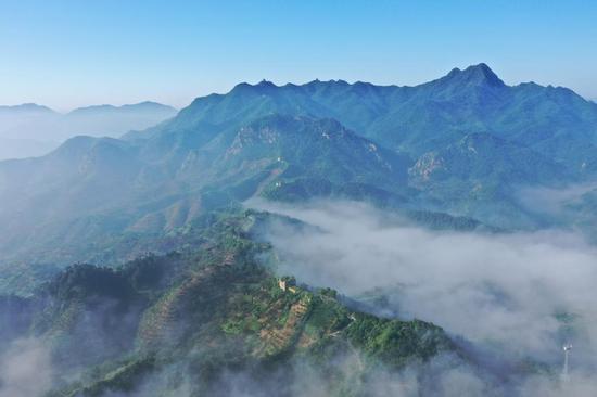 资料图片：这是2020年8月25日拍摄的河北省迁西县榆木岭长城云海景观（无人机照片）。新华社记者牟宇摄
