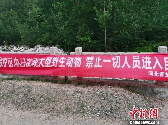 青龙满族自治县在野生动物出没区域设立醒目标志 王天译 摄