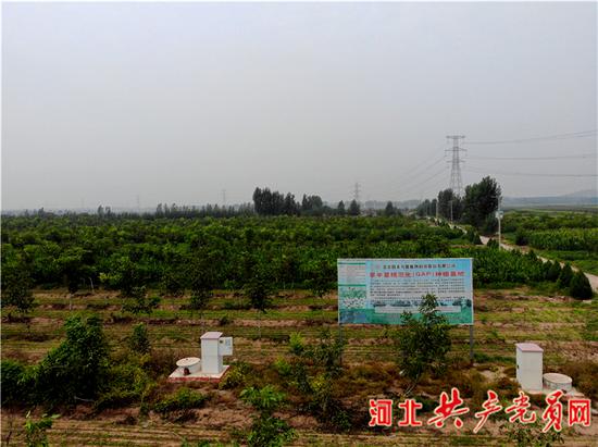 种植基地