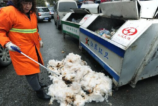 农民 街头卖棉花被烧掉  城管回应将开除协管协