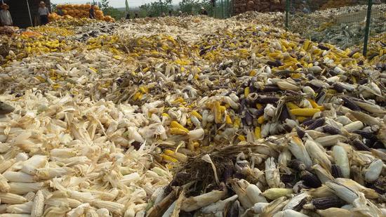 卢龙:用工业灶烹饪农业餐_秦皇岛频道