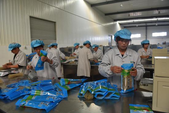 卢龙 gdp_卢龙限号区域图(2)