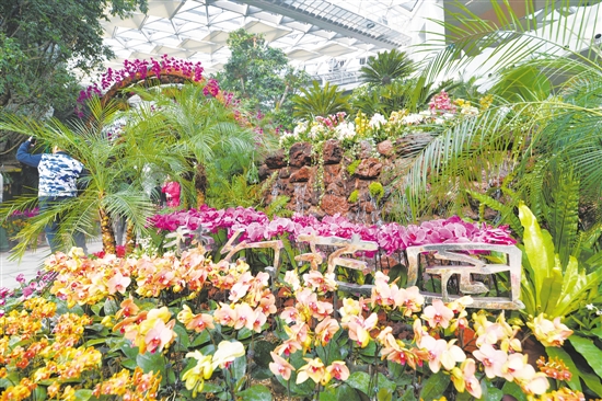 植物风情馆:奇幻的植物王国_新浪河北_新浪网