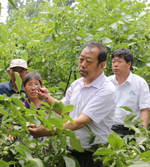 “数”说一生精彩 “抒”写为农情怀_新浪河北_新浪网