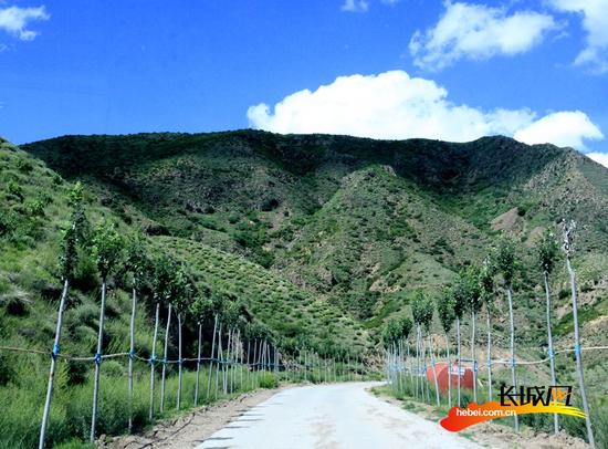 张家口城区东部十公里景观道 可媲美草原天路