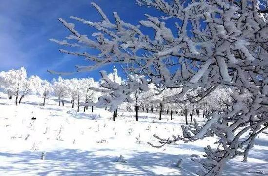 张承坝上已迎来首场大雪。