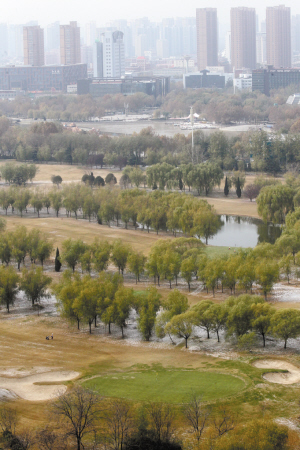 美丽冬景。