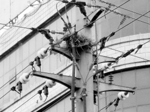 2013年9月23日本报A05版曾报道过。
