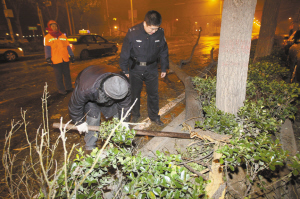 ■民警、市民李先生、环卫工一起挪动倒地的树干。