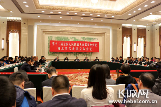 十二届全国人大五次会议河北代表团团组开放日现场。
