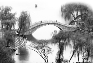 昨日烟雨蒙蒙,裕西公园美景如画。
本报记者张海强 摄