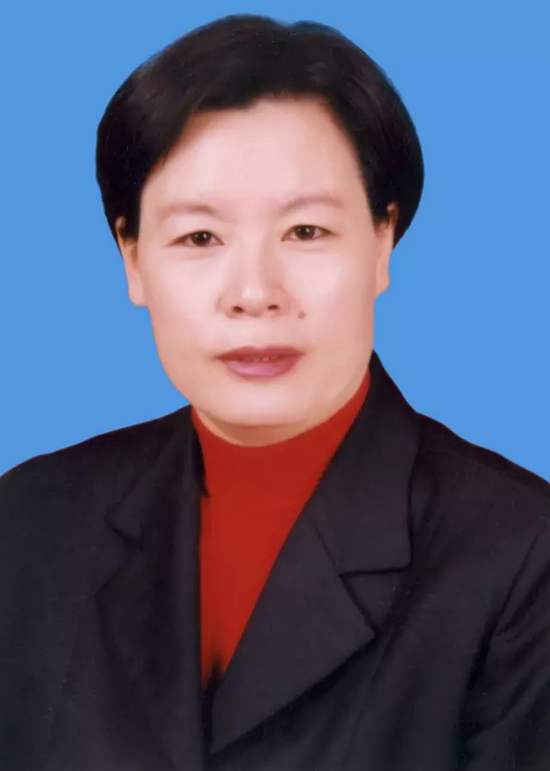 保定十五届人大一次会议选举出市政府市长副市长等