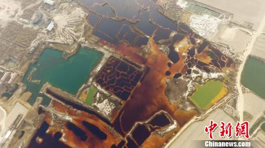 触目惊心!河北等地现17万平米污水渗坑 官方回应