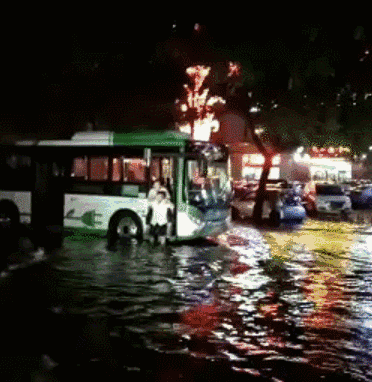 石家庄公交司机冒雨背乘客