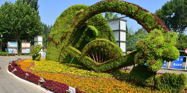 廊坊城区植物绿雕绚丽多姿