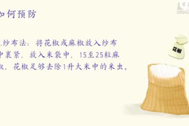 小贴士丨米面如何防止生虫？生虫后咋处理？
