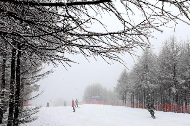 河北崇礼迎来大范围降雪